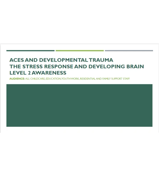 ACEs - The Stress Response and Developing Brain Training Resources