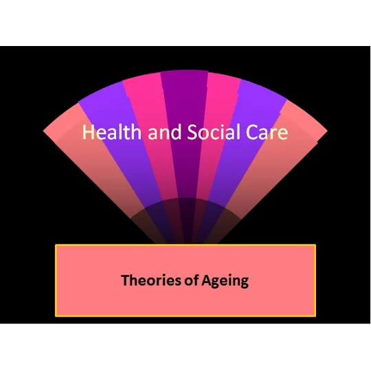 Ageing Theories Training Resources