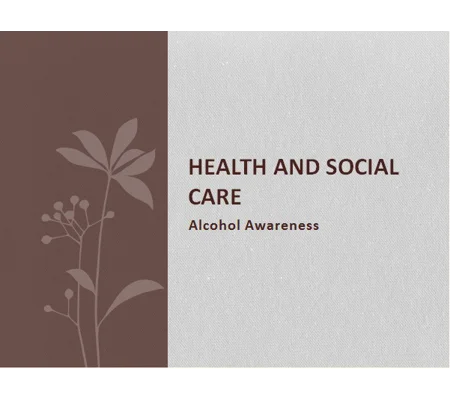 Alcohol Misuse and Effects on Self and Others Training Resources