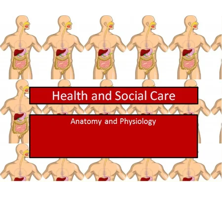 Basic Anatomy Training Resources