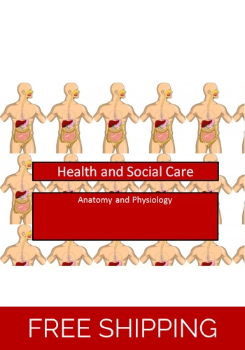 Anatomy - Basic Anatomy