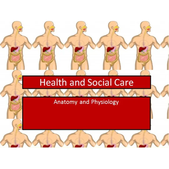 Basic Anatomy Training Resources
