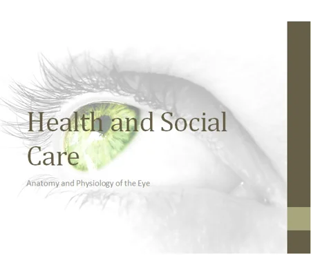 Eye Anatomy Awareness Training Resources