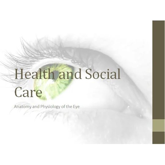 Eye Anatomy Awareness Training Resources