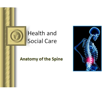 Spine Anatomy Awareness Training Resources