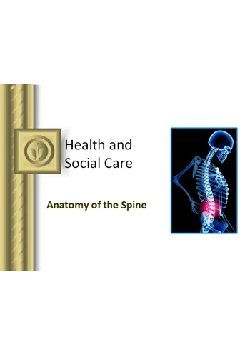 Spine Anatomy Awareness Training Resources