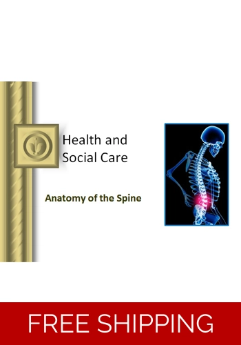 Anatomy  - Spine Anatomy Awareness
