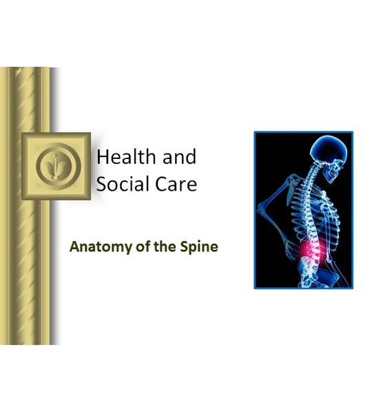 Spine Anatomy Awareness Training Resources