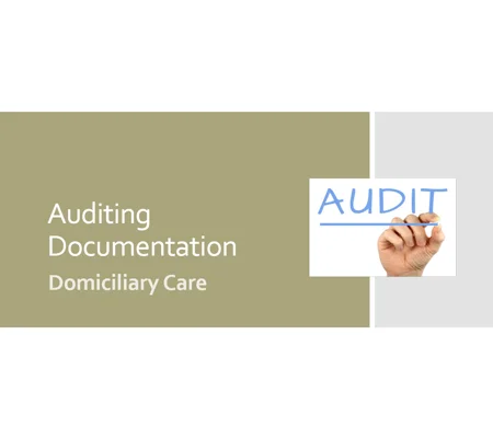 Auditing Documentation Domiciliary Care Training Resources