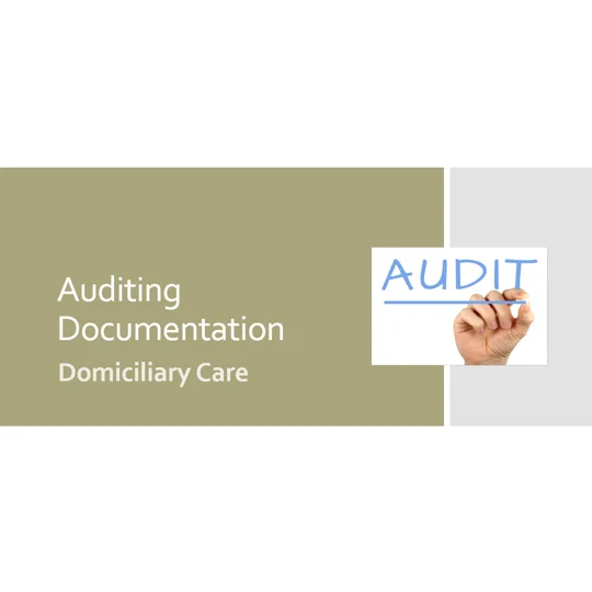 Auditing Documentation Domiciliary Care Training Resources