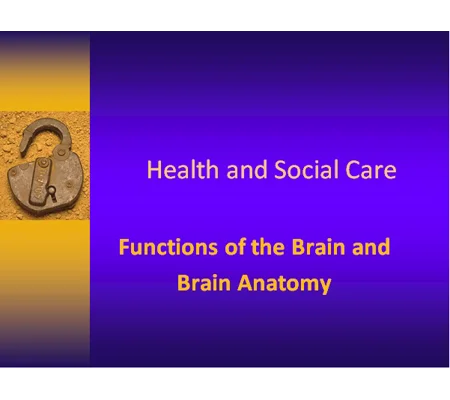Brain Anatomy Awareness Training Resources