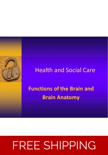 Anatomy - Brain Anatomy Awareness