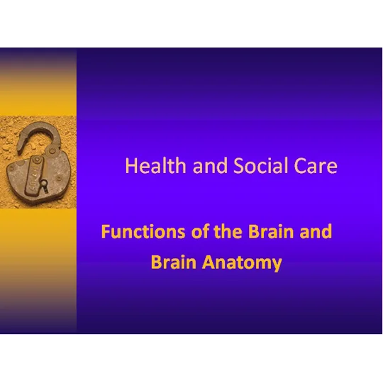 Brain Anatomy Awareness Training Resources