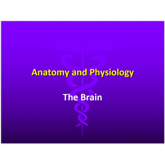 Brain Injuries - Acquired and Traumatic Training Resources