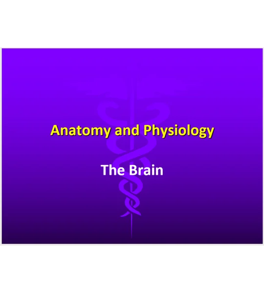 Brain Injuries - Acquired and Traumatic Training Resources