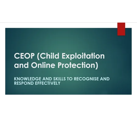 Child Exploitation Online CEOP Training Resources