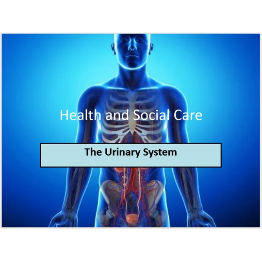 Continence Awareness Training Resources