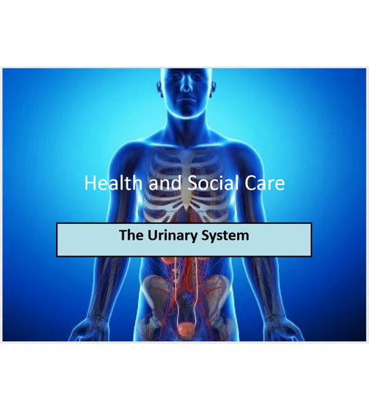 Continence Awareness Training Resources