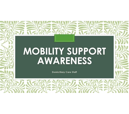 Mobility Support Awareness Domiciliary Care Training Resources