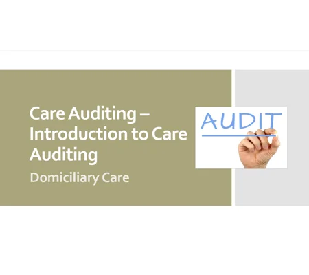 Introduction to Care Audits Domiciliary Care Training Resources