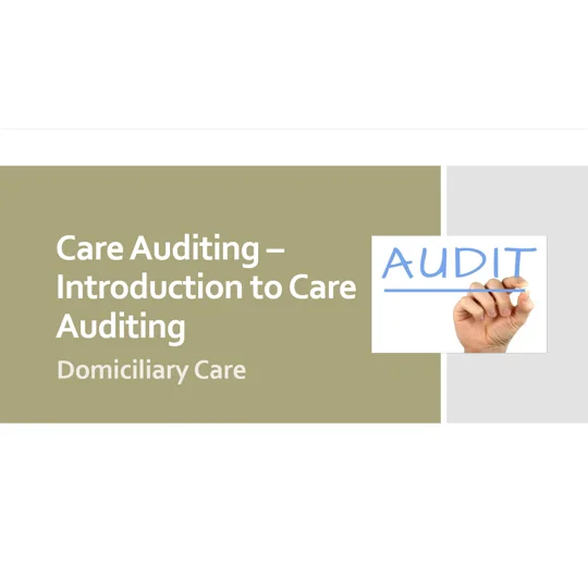 Introduction to Care Audits Domiciliary Care Training Resources