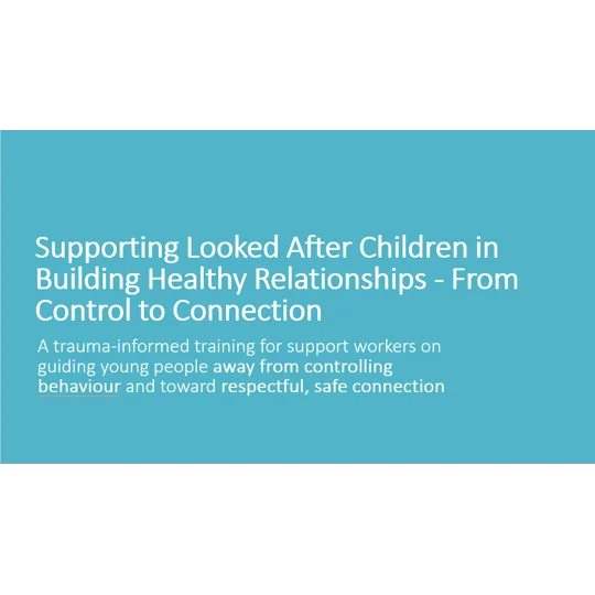 Supporting Children and Young People - Building Healthy Relationships Training Resources