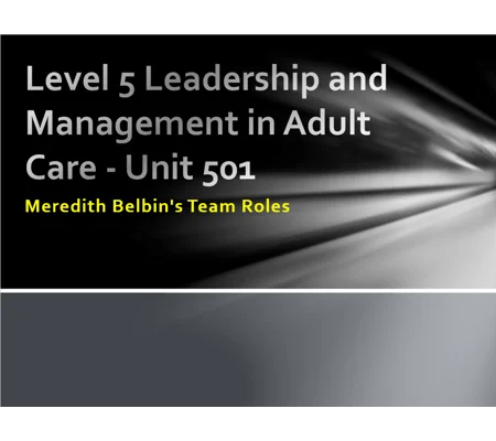 Belbin Team Roles Training Resources
