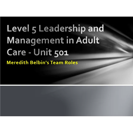 Belbin Team Roles Training Resources