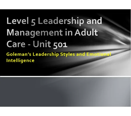 Goleman's Leadership Styles Training Resources