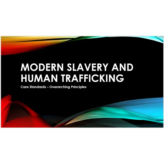 Modern Slavery Trafficking Care Standards Overarching Principles Training Resources
