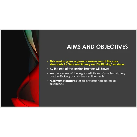 Modern Slavery Trafficking Care Standards Overarching Principles Training Resources
