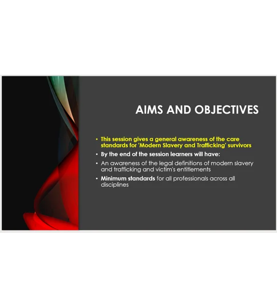 Modern Slavery Trafficking Care Standards Overarching Principles Training Resources