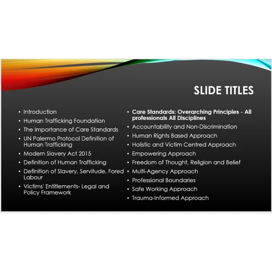 Modern Slavery Trafficking Care Standards Overarching Principles Training Resources
