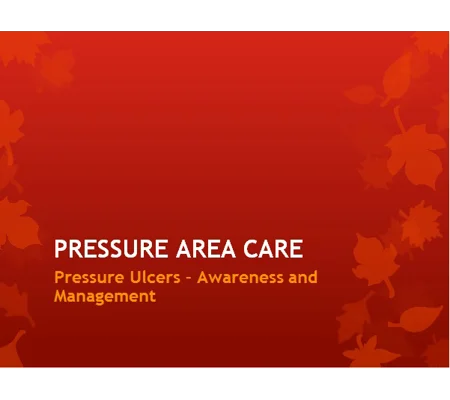 Pressure Area Care Pressure Ulcers Awareness Training Resources