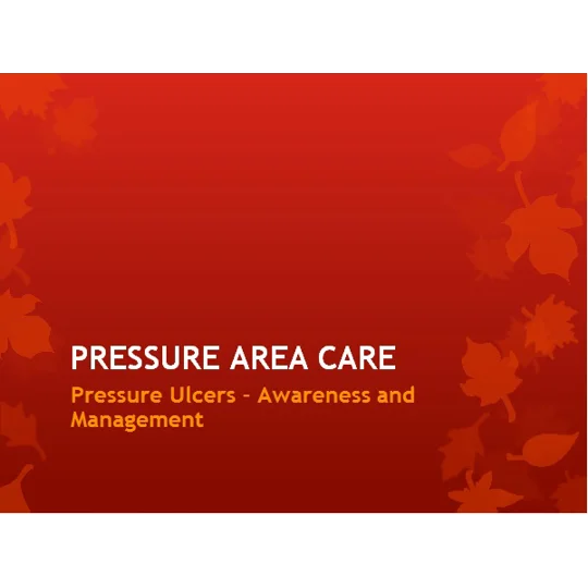 Pressure Area Care Pressure Ulcers Awareness Training Resources