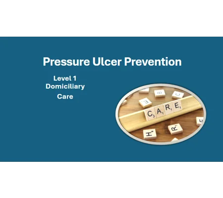 Pressure Ulcer Prevention Domiciliary Care Level 1 Training Resources