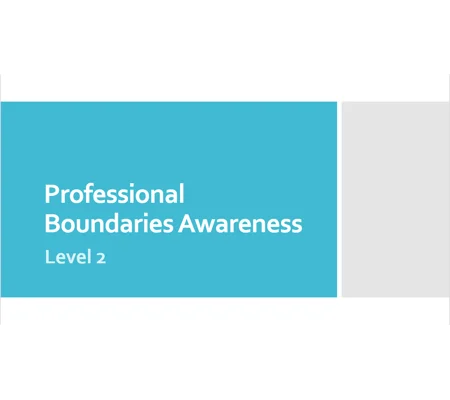 Professional Boundaries Awareness Level 2 Training Resources
