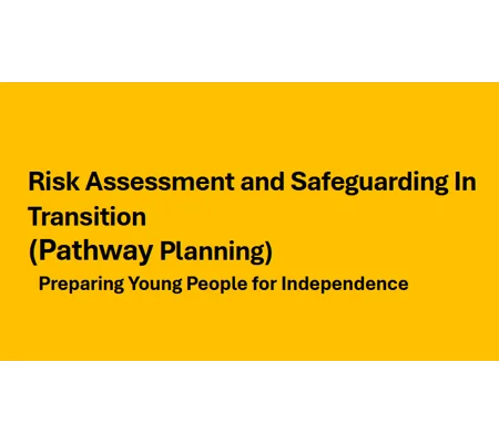 Pathway Planning - Risk Assessment and Safeguarding in Transition Training Resources