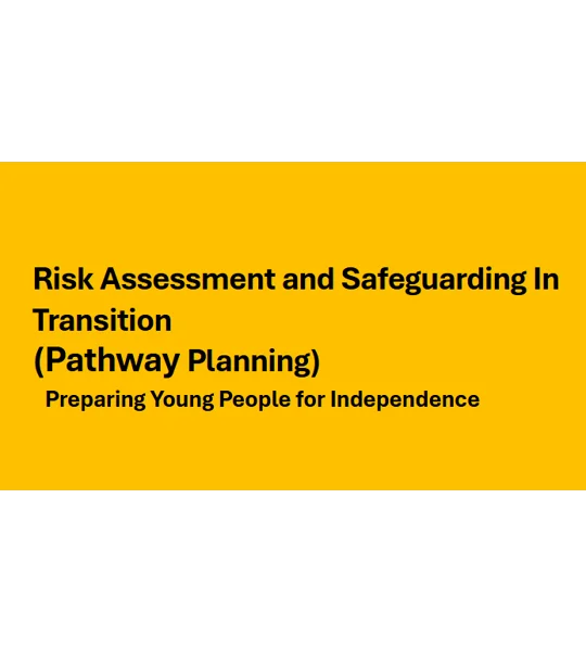 Pathway Planning - Risk Assessment and Safeguarding in Transition Training Resources