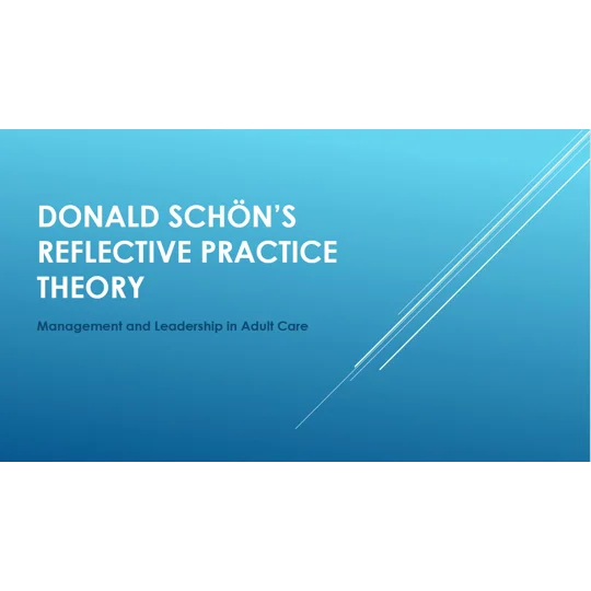 Donald Schön’s Reflective Practice Theory ​Training Resources
