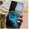 Samsung Galaxy A53 Seashore Case