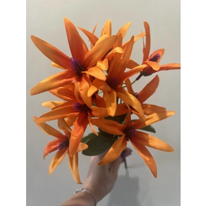 Denbrobium flower bunch