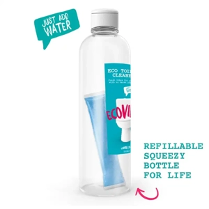 Toilet cleaner