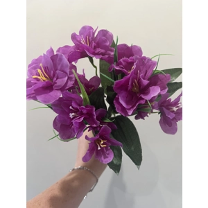 Bougainvillea flower bunch