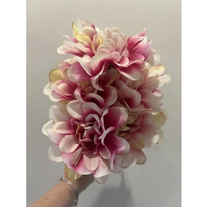 Camellia flower bunch