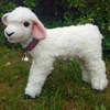 Finnsheep - Ebony