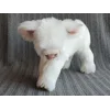 White Highland - Snowflake