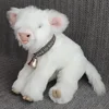 White Highland - Snowflake