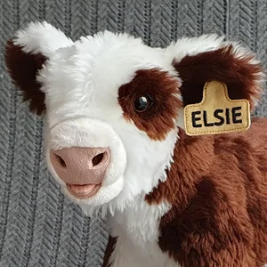 Ear tag, customizable