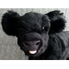 Black Angus - Fern
